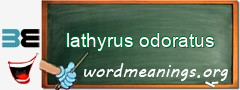 WordMeaning blackboard for lathyrus odoratus